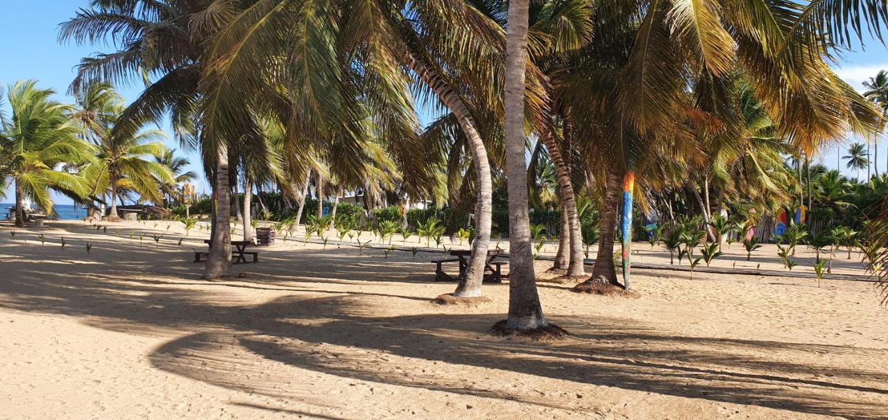 Puntacana Ecolodge Lavacama Beach Costa Arrecife By Aa Crypto Group Punta Cana Bagian luar foto