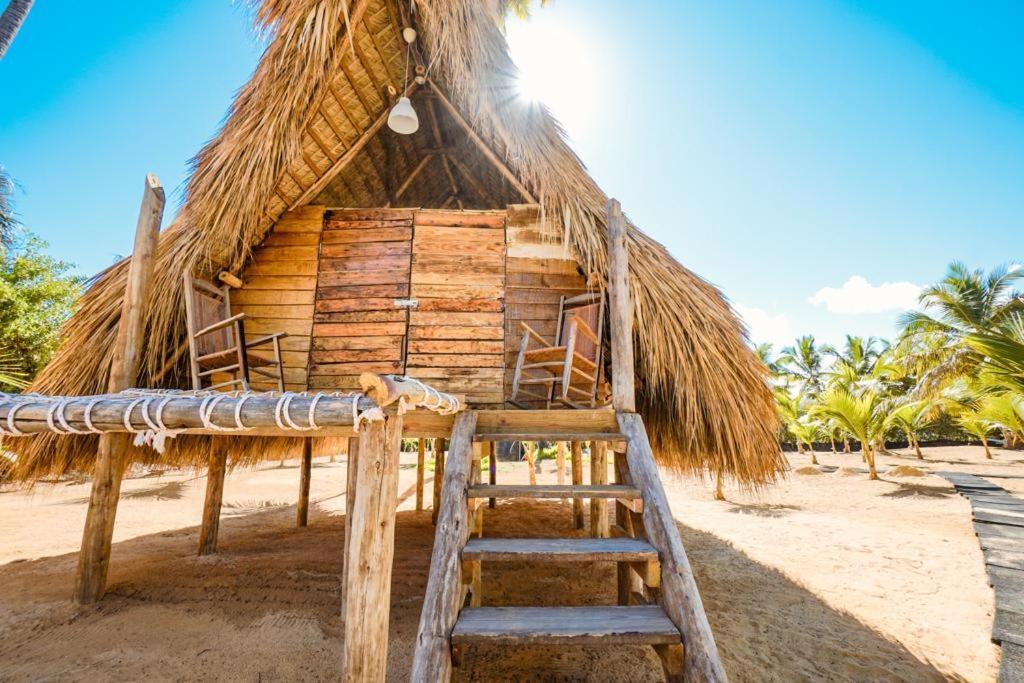 Puntacana Ecolodge Lavacama Beach Costa Arrecife By Aa Crypto Group Punta Cana Bagian luar foto